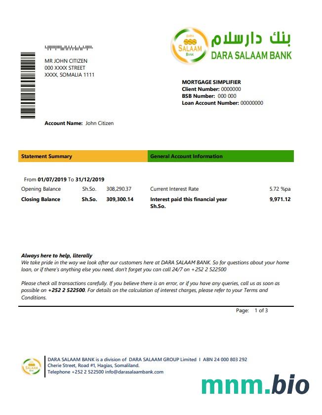 Somalia Dara Salaam Bank szablon w formacie excel pdf